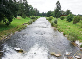 032 - der Fluss Wiese - DE-CH